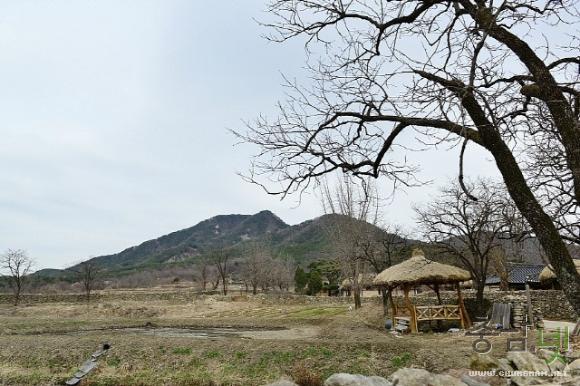 봄맞이 한창인 외암민속마을 사진