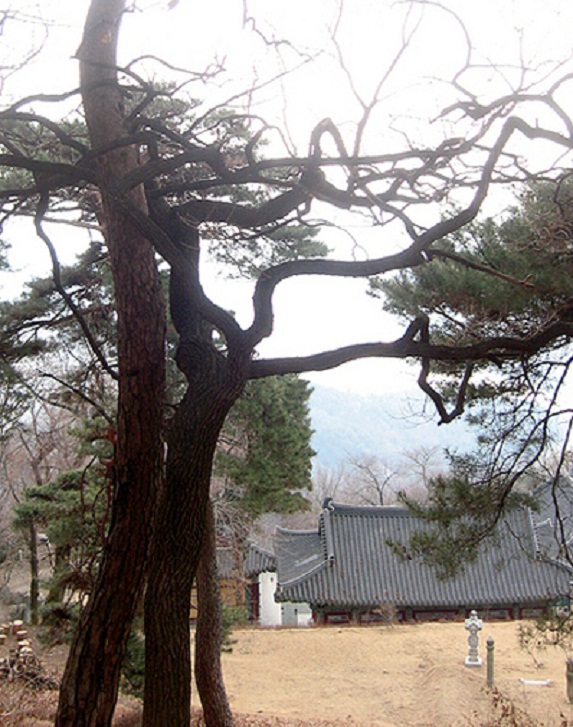 사는이야기 - 휴일날 뒷동산 친구같은 노성산에 오르며 - 충청남도 휴일날 뒷동산 친구같은 노성산에 오르며