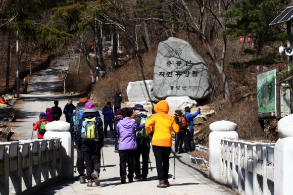 봄을 맞아 산행객들이 용봉산을 오르고 있다.