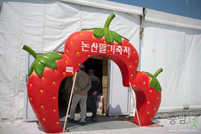 제15회 향기로운 빨강미인 논산 딸기축제열려 사진