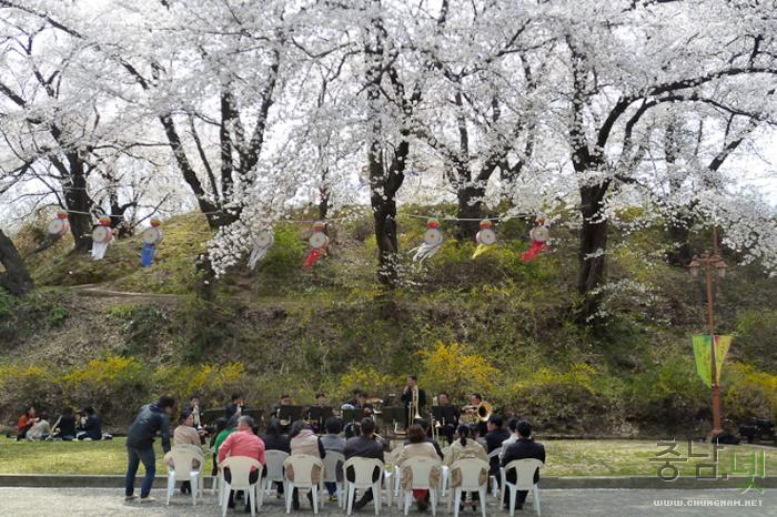 벚꽃과 함께하는 2013 국고개 역사문화축제 사진