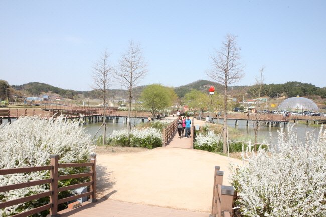 탑정호 생태공원.