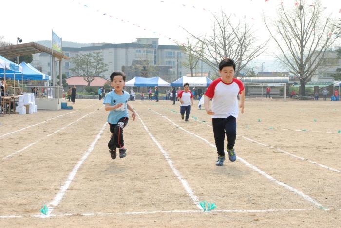 3개 초등학교의 봄 운동회날 사진