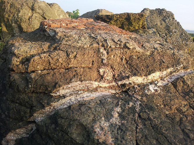 고대 화석과 지층을 보여주는 바윗돌
