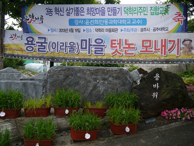용굴마을 마을회관 앞에 걸린 텃논배미 분양사업 성공 현수막