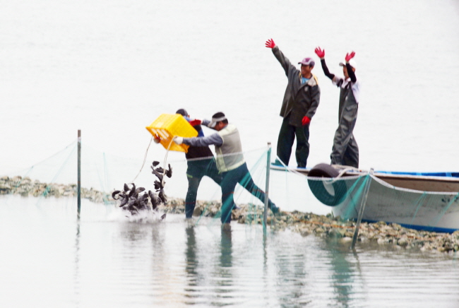 참가자들이 많은 물고기를 잡을수 있도록 우럭과 바닷장어가 마구마구 부어비고