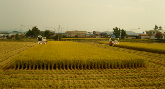 고품질 쌀 생산 적기수확·조기건조 중요