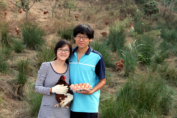  심다누팜 농장지기 김성한(34ㆍ오른쪽)씨와 그의 아내 이 심(34)씨가 자연방목해 기르고 있는 닭과 유정란을 들어 보이고 있다. 김씨 부부 뒤편으로 자유롭게 돌아다니는 닭들이 풀과 지하수를 먹고 있다.