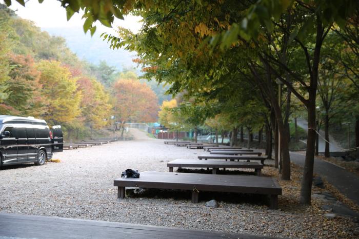 야영할 수 있는 데크