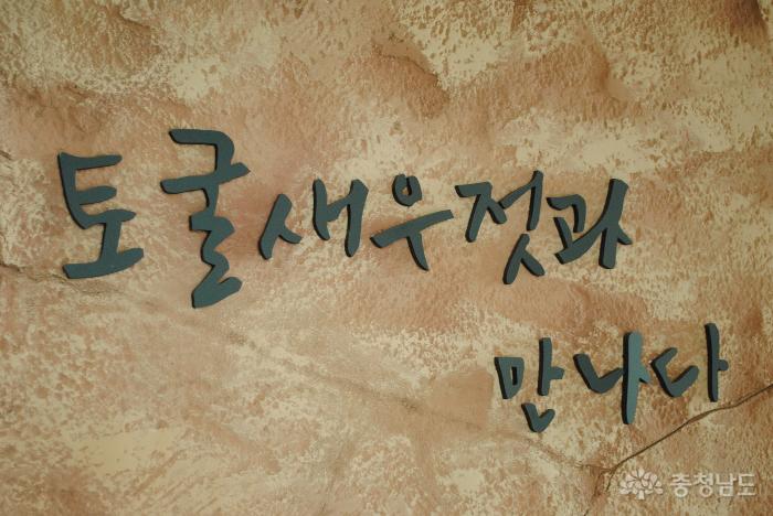 독배토굴새우젓 이미지