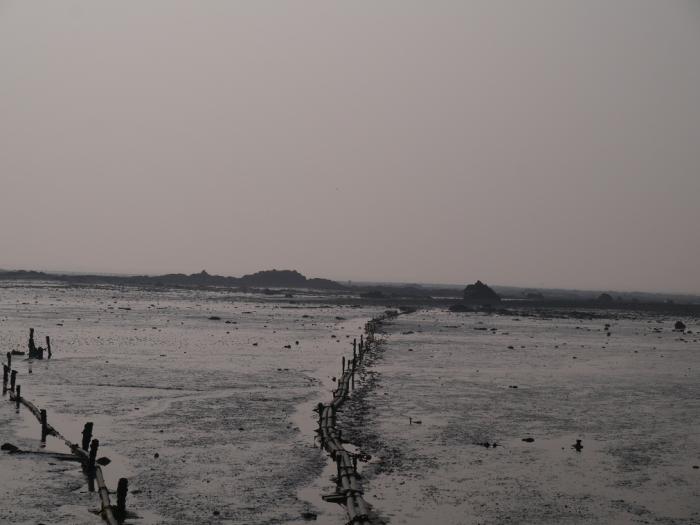 생명의 숨소리가 활기찬 서천 홍원항 겨울 풍경 사진