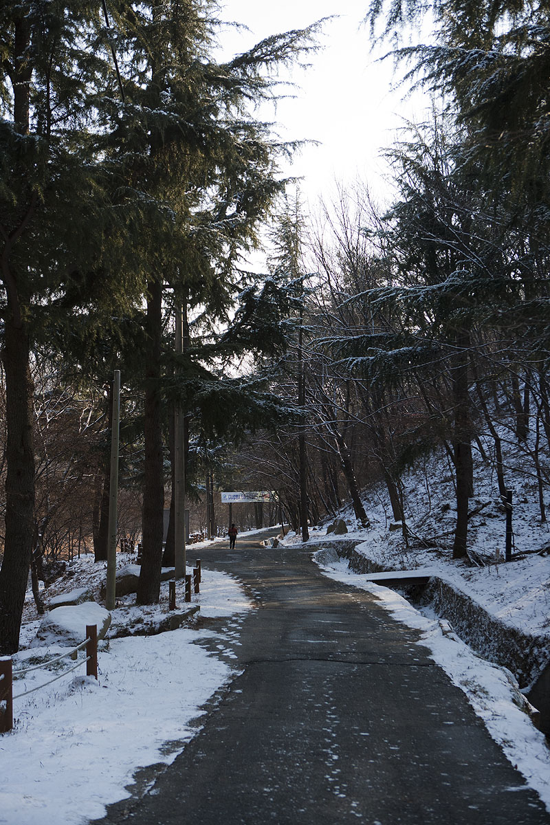 용봉산의 겨울 모습 사진