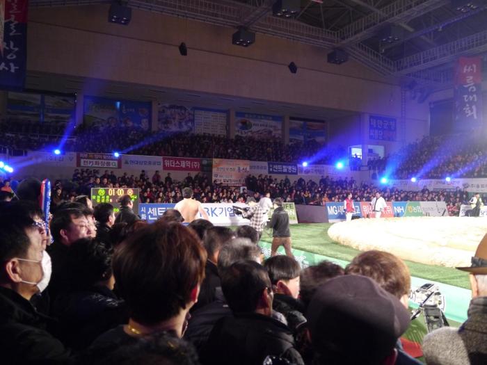 설날 홍성에서 전국 씨름대회가 열렸어요 사진