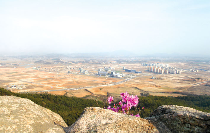 내포신도시 사계(四季)(2) 2014년 봄 1