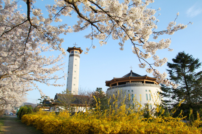 해미천의 벚꽃음악회