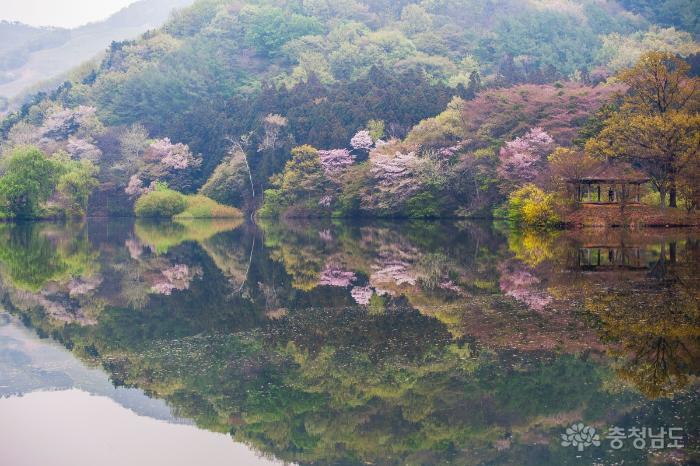 서산 용비지, 무릉도원이 따로 없네