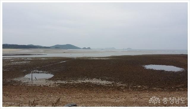태안해변 샛별길을 걷다(꽃지해변~황포항) 사진