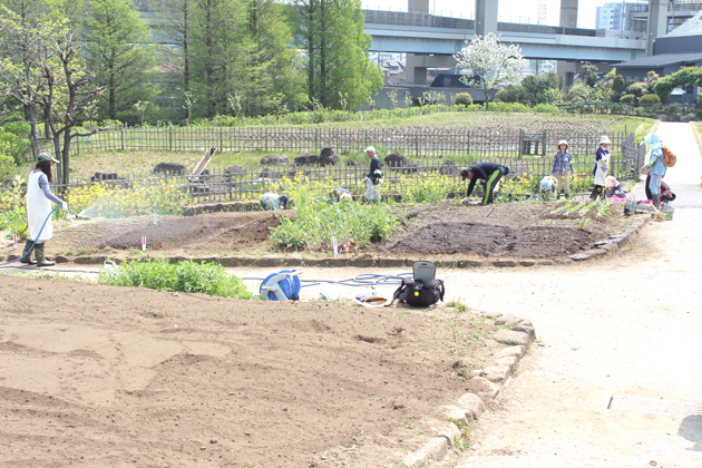 일본 아다치구 도시농업공원 경작지 보존위해 조성