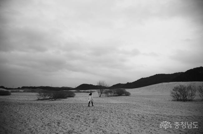 한국의 사막길을 걷다