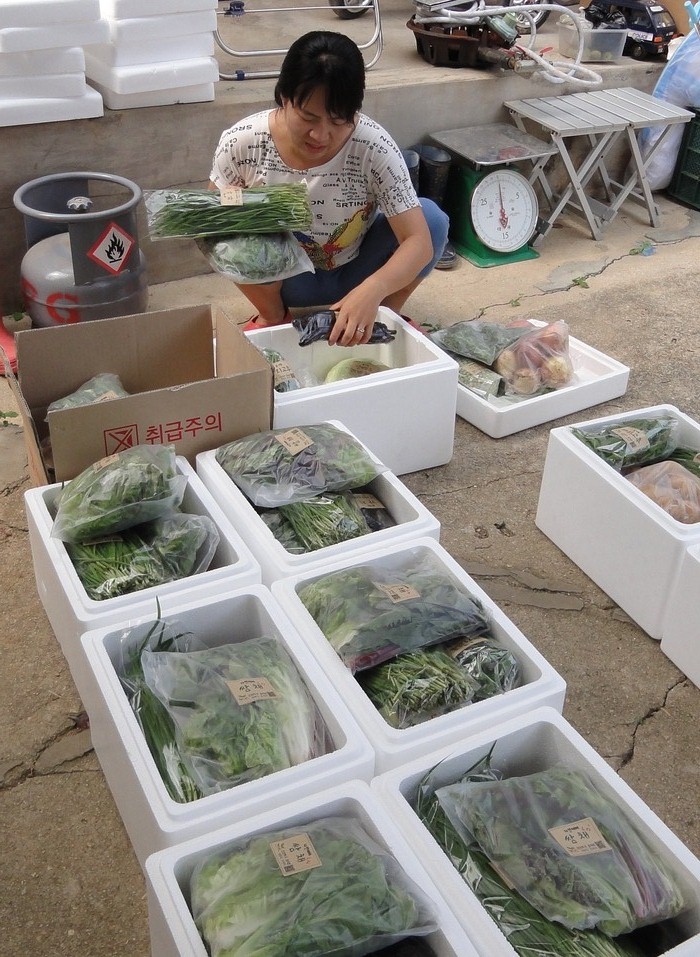 1년매출 9천만원 홍성 꾸러미 사업 농촌을 가다 사진