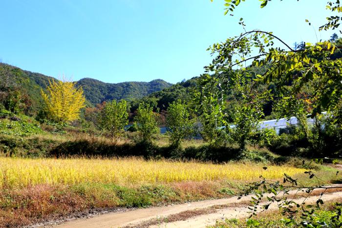 햇빛촌 농원을 감싸 안고 있는 깊은 산자락 아래 마을 풍경