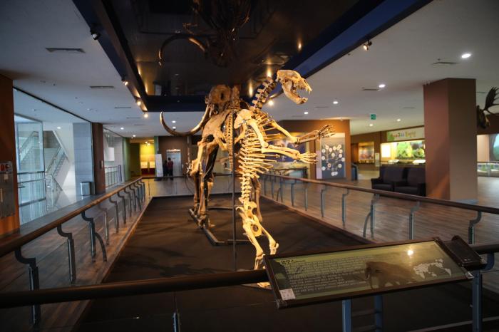 자연과학문화를 만날 수 있는 계룡산 자연사박물관