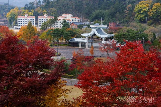 산림박물관 중턱에서 김밥을 먹으며 바라본 모습이다. 