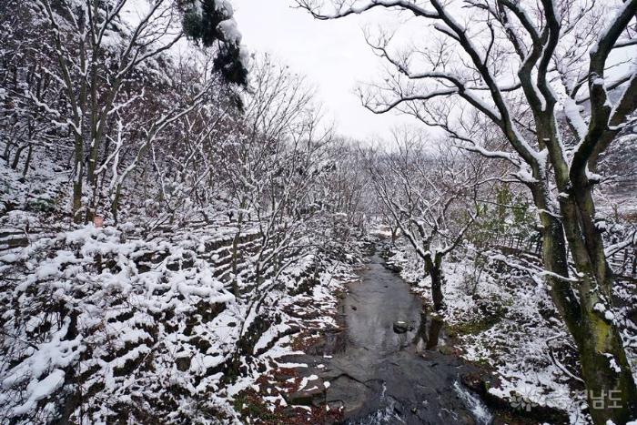 눈내린 아산 광덕산 강당골계곡 사진