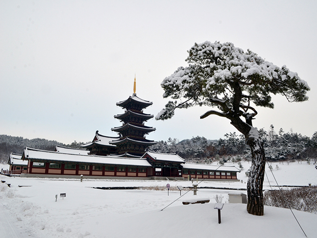 Baekje Cultural Land