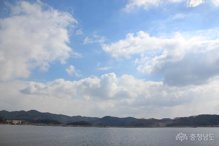 낭만 여행지, 서천 신성리갈대밭 사진