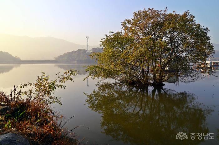 이국적인 풍경의 아산 동암저수지 사진