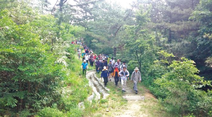 내포문화숲길축제개막 1