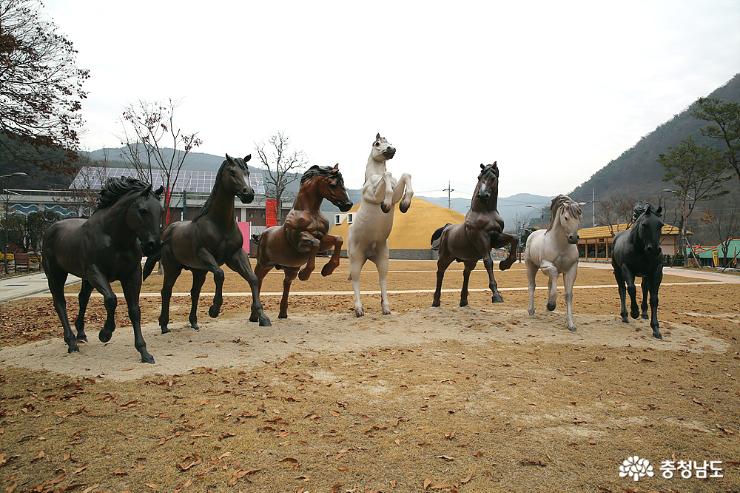 청양에
