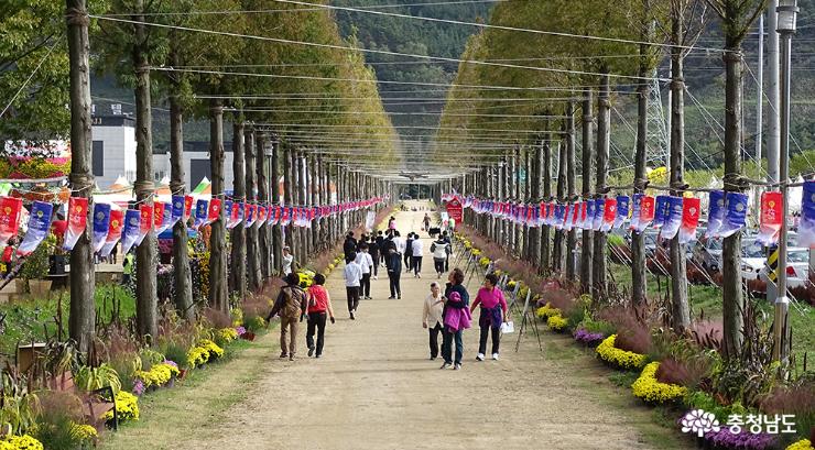 Successful Hot spring Grand Festival& Forest Culture Fair