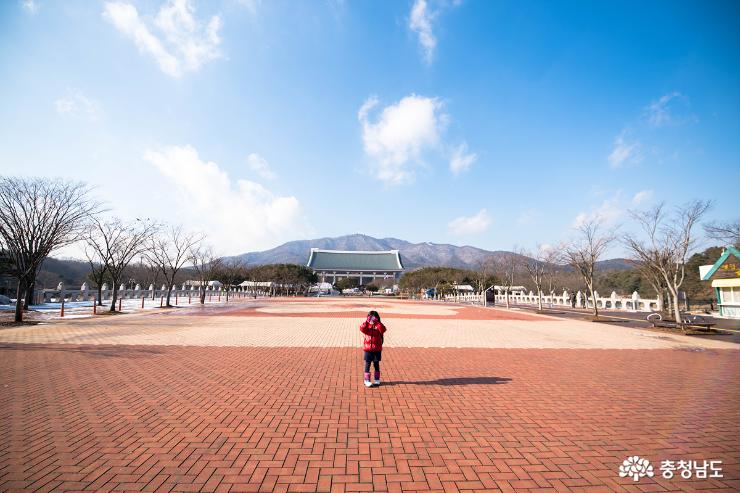 천안독립기념관단풍나무길의겨울 2