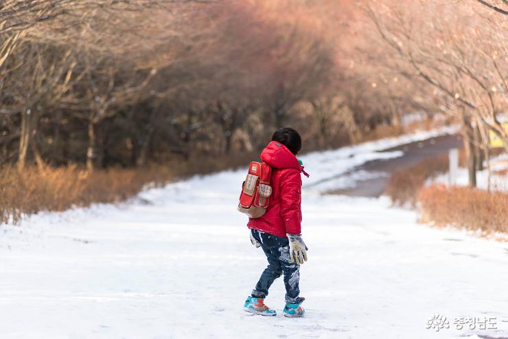 천안독립기념관단풍나무길의겨울 8