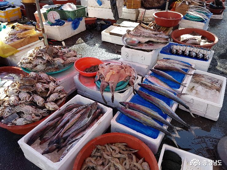 홍성전통시장에서 판매한느 싱싱한 해산물들