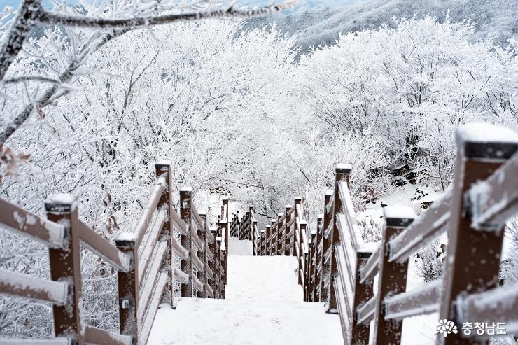 눈꽃 핀 대둔산,  겨울 왕국 되다 사진