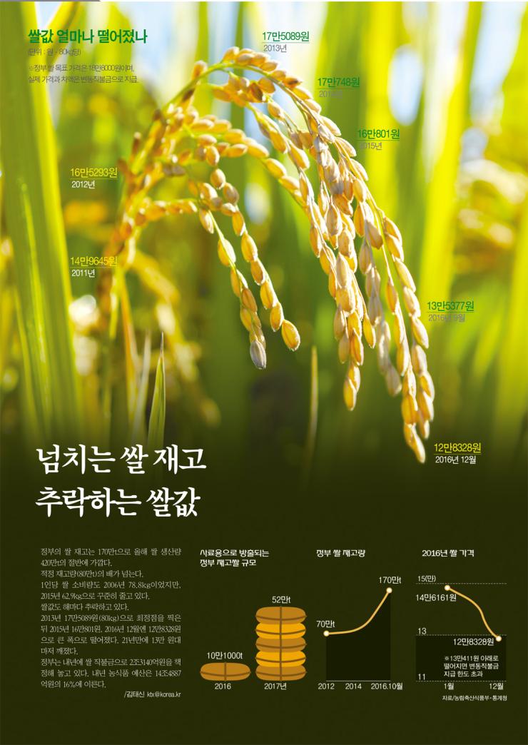 넘치는 쌀 재고 추락하는 쌀값 1