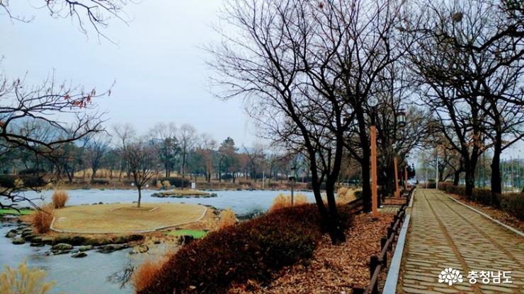 천안삼거리공원 겨울 아침산책 사진