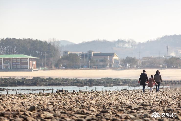 보령 '신비의 바닷길' 걸으며 봄맞이 사진