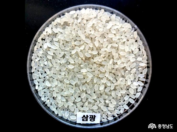 삼광품종전국최고브랜드쌀입증 1