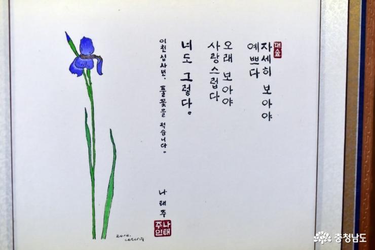 봄날의따스함을느낄수있는공주풀꽃문학관 5