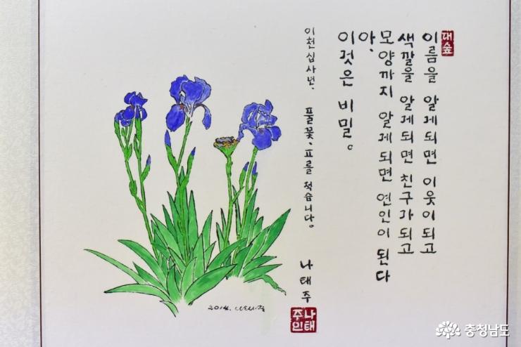 봄날의따스함을느낄수있는공주풀꽃문학관 6