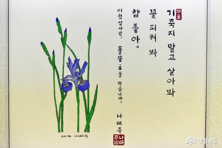 봄날의따스함을느낄수있는공주풀꽃문학관 7