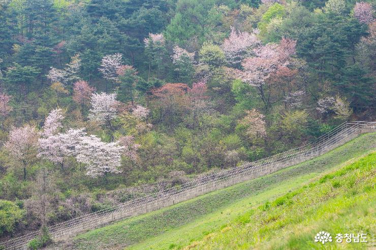 가야산 자락의 수채화 같은 풍경 사진