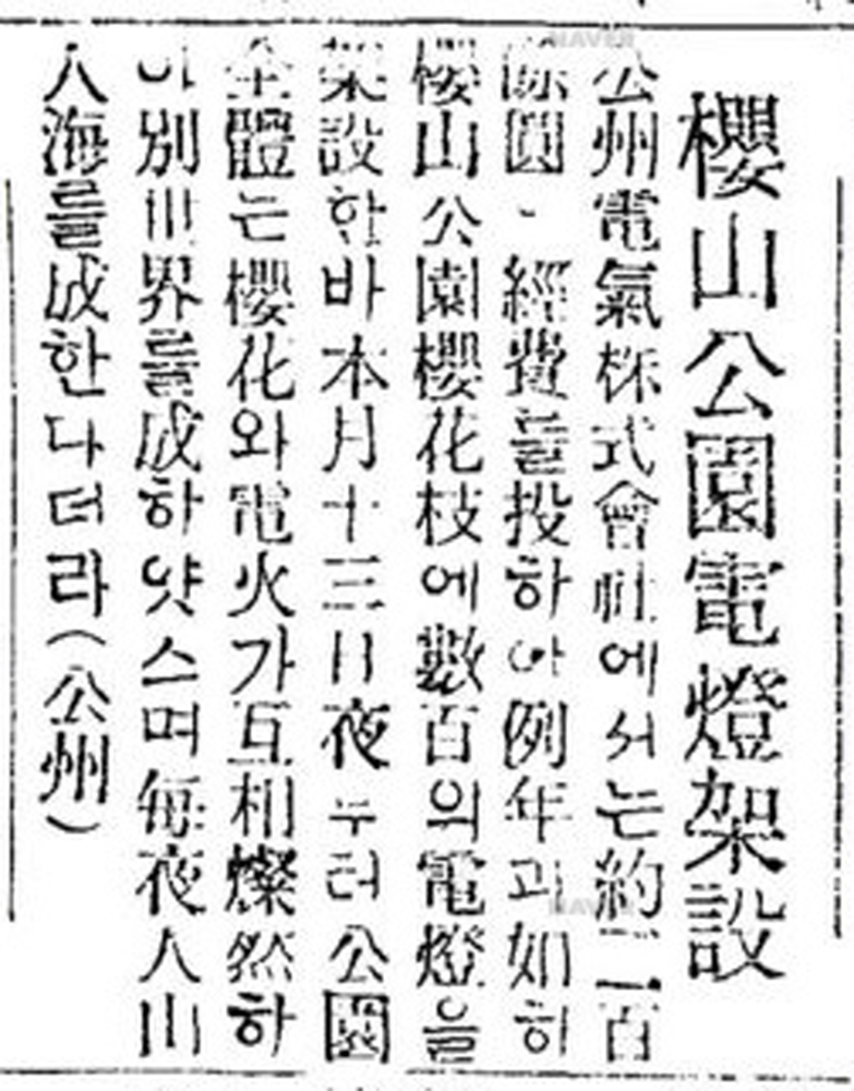 1923년 동아일보에 나온 벚꽃관련 기사