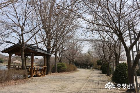 [봄철 걷기 좋은 길] 당진시 면천읍성 일원 사진