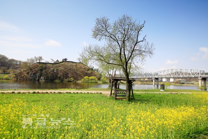 금강 미르섬, 봄꽃 즐기기에 안성맞춤 사진