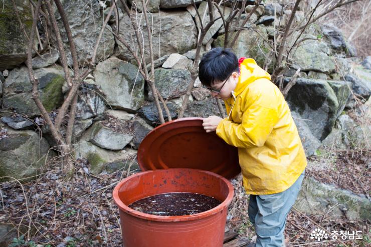 천안 특산물 호두가 청년 농부에게 희망을 7